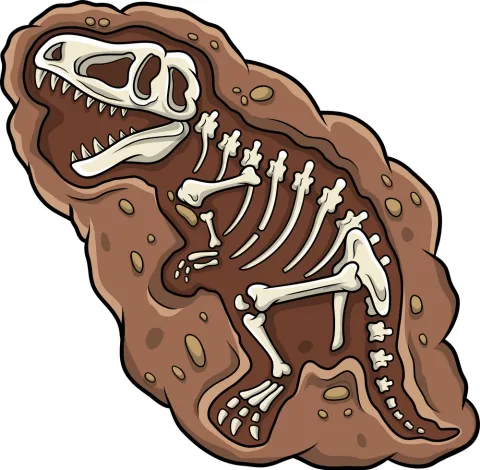 fossil