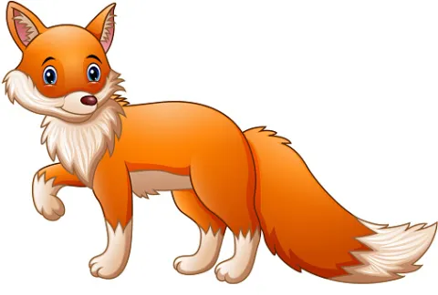 fox