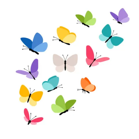 butterfly