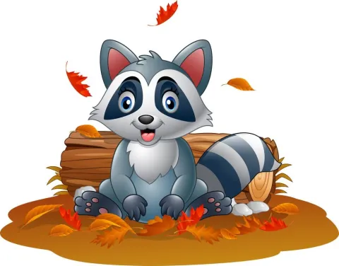 fall