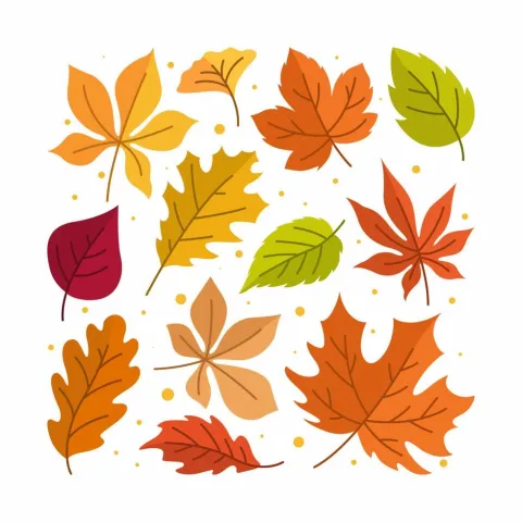 fallingleaves