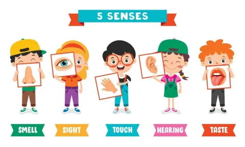 senses