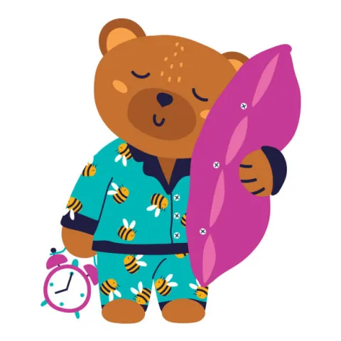 teddy