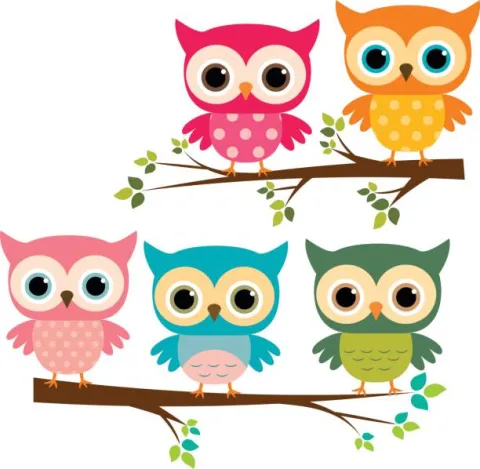 owl