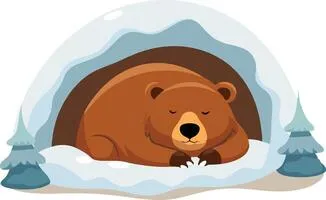 Hibernation