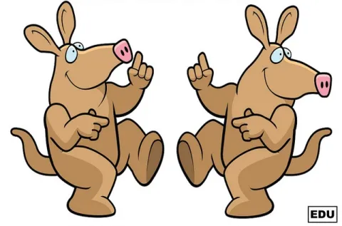aardvarks