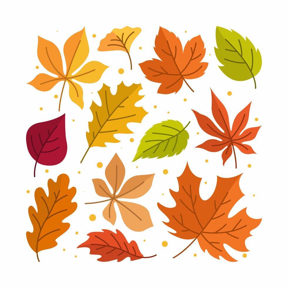 fallingleaves